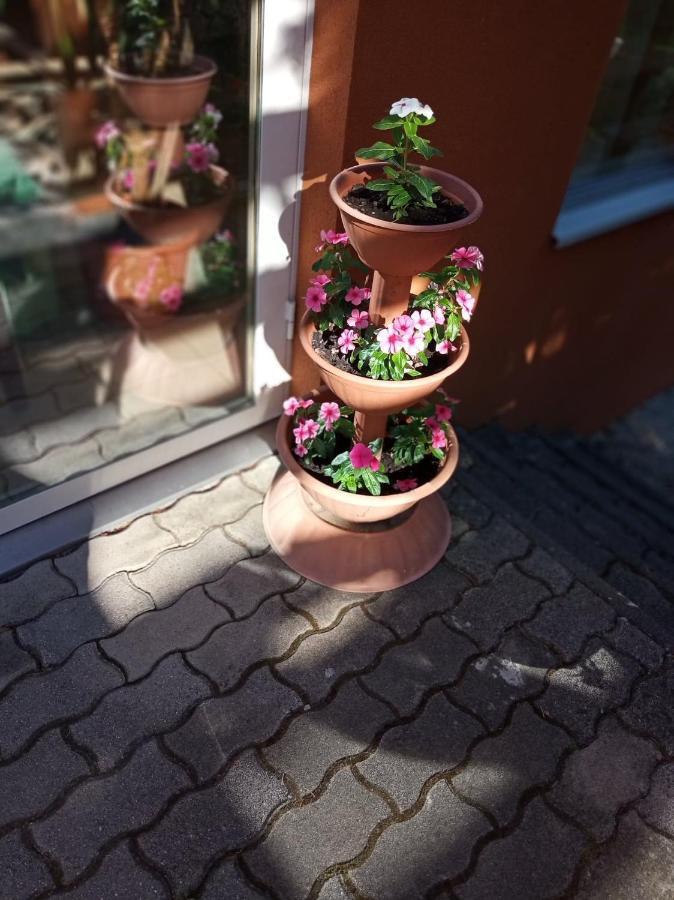 Pergola Panzio Hotel Balatonfoldvar Luaran gambar